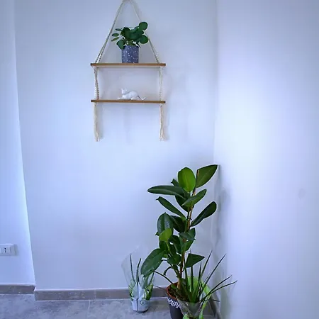 Iltempio Alojamento de Acomodação e Pequeno-almoço 3*